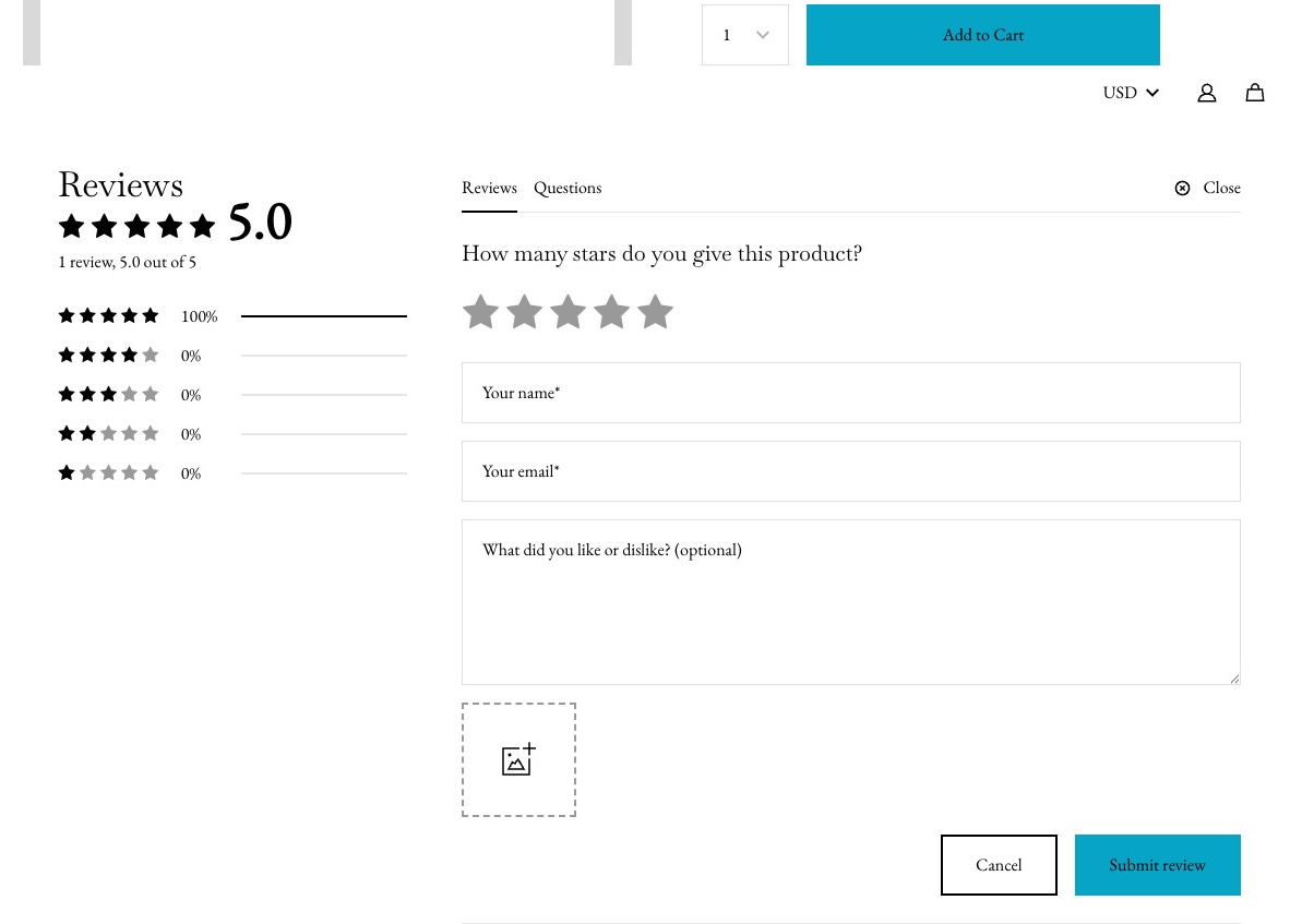 Echobrain form to add review from widget