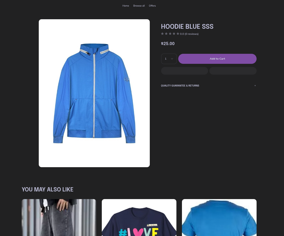 EchoBrain widget missing on a product with a custom template