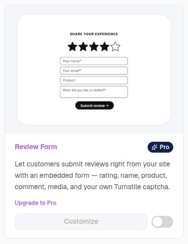 EchoBrain review form widget on the dashboard