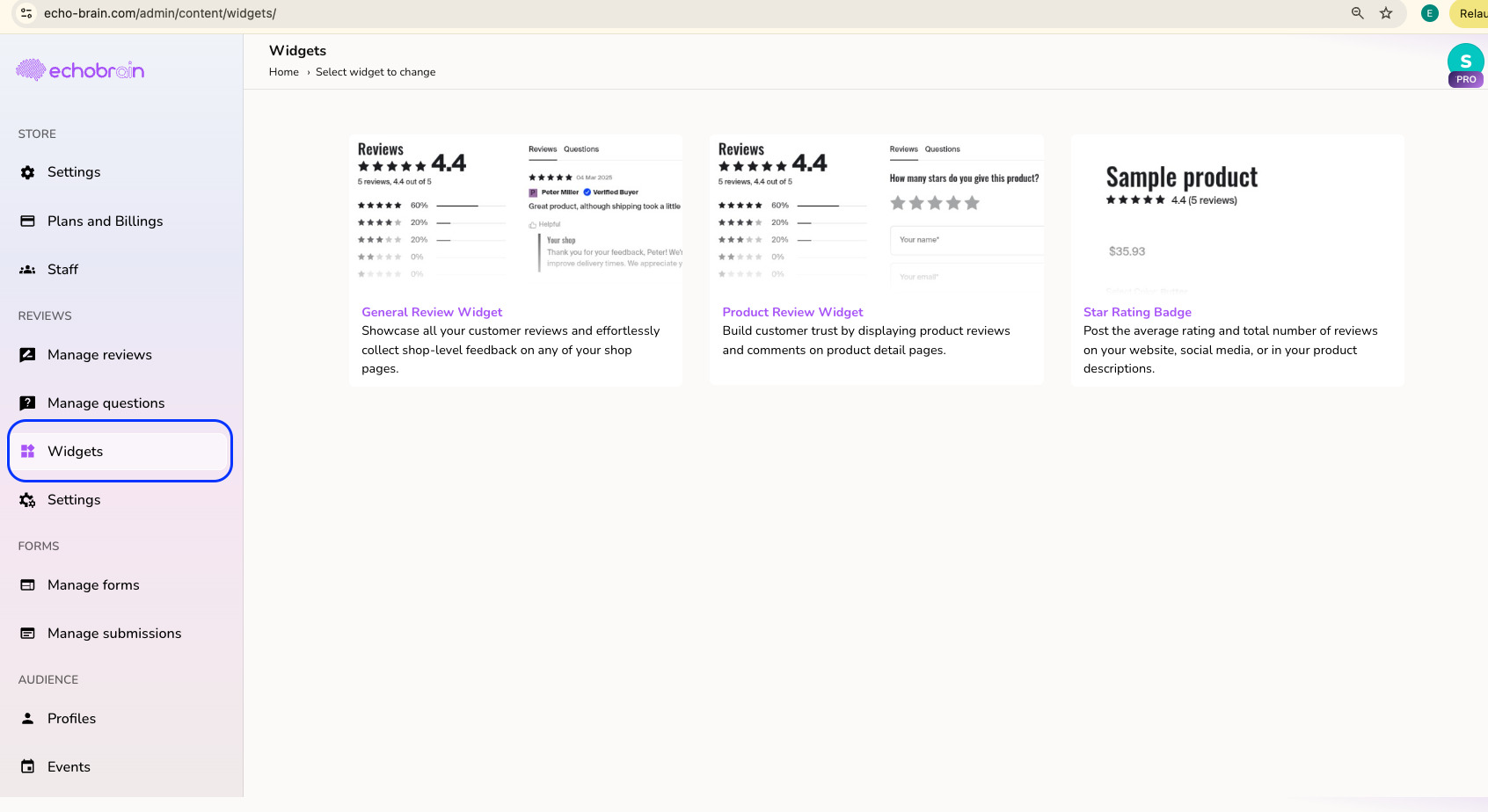 Echobrain review widget configuration