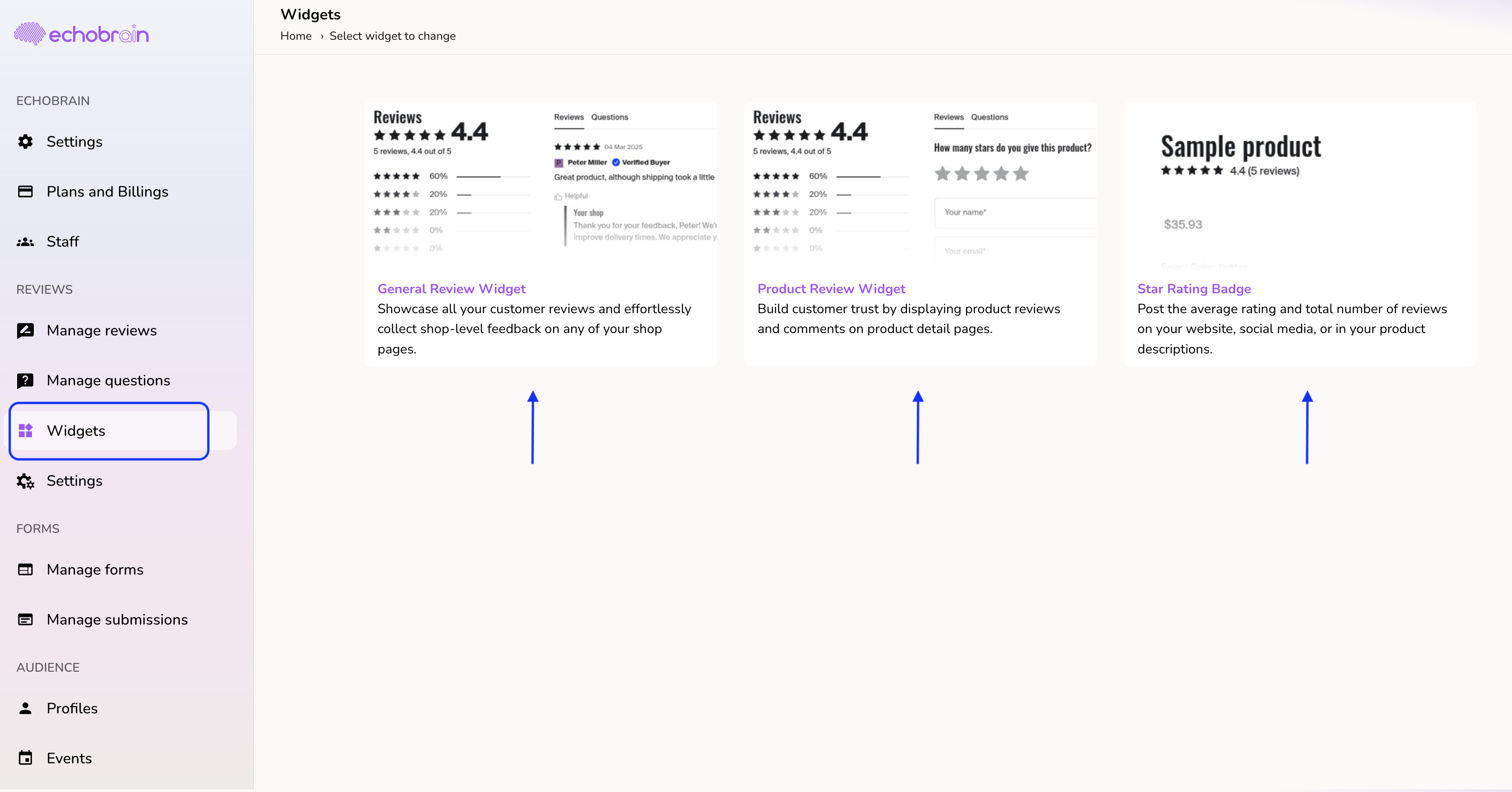 EchoBrain review widgets