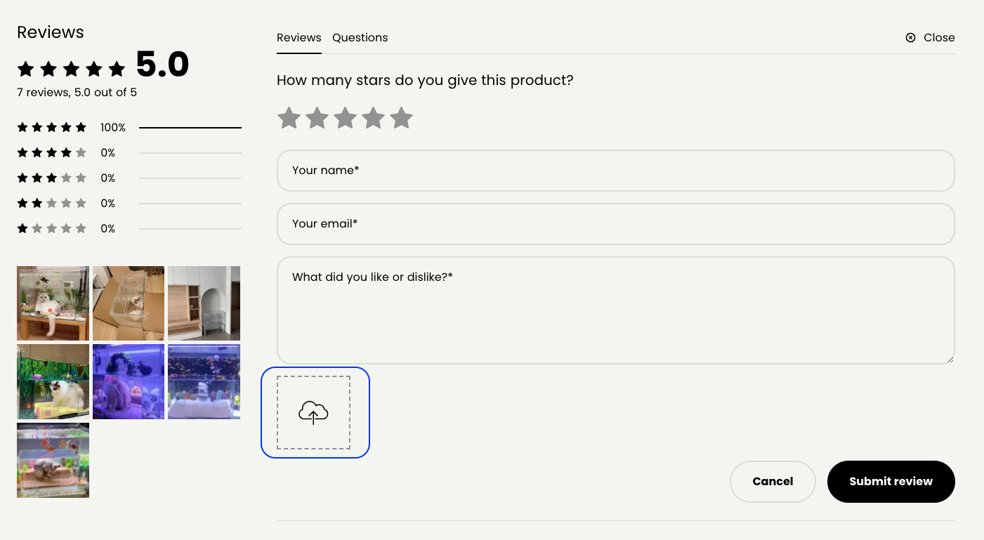 Review widget with video upload