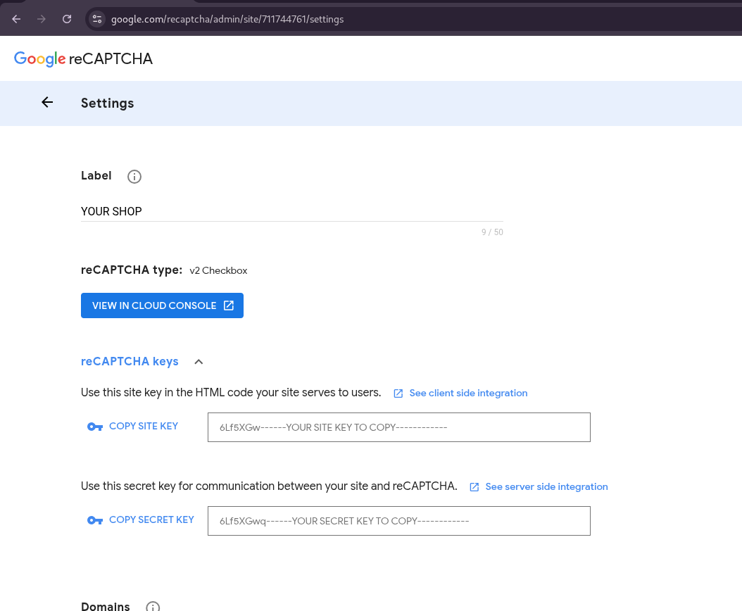 reCAPTCHA keys generated by Google